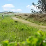 161-hanstholm-kraegpotvej-161 Σπίτι διακοπών *